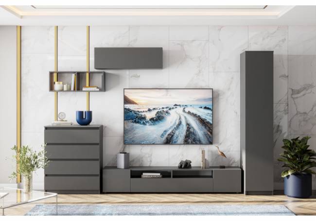 Сибити одностворчатый графит серый