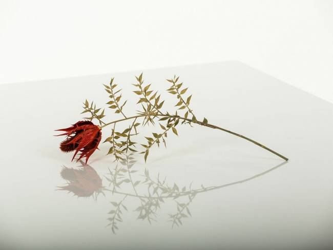 Стол-трансформер Левмар Compact G15/S59 белый глянец/ опоры серебро Стол-трансформер Левмар Compact G15/S59 белый глянец/ опоры серебро